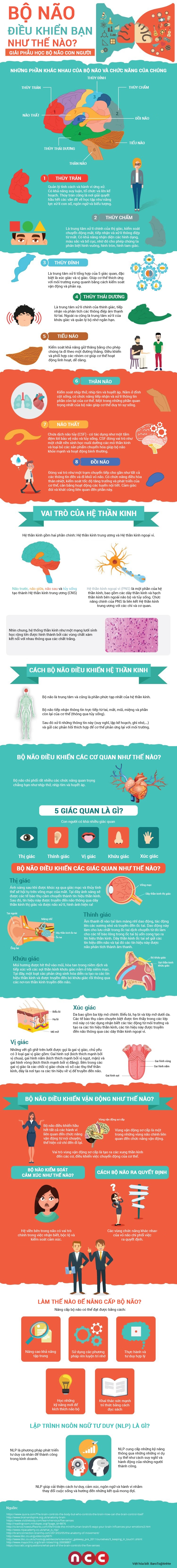 infographic-bo-nao-dieu-khien-co-ban-bang-cach-nao