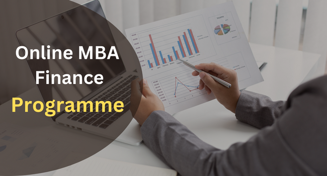MBA In Finance Online Program